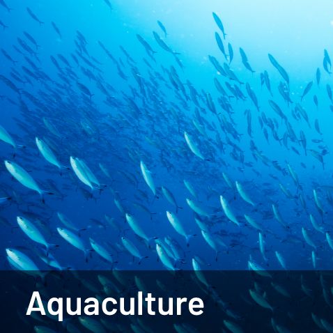 aquaculture.jpg